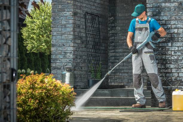 Best Sidewalk and Walkway Cleaning  in Valencia, NM